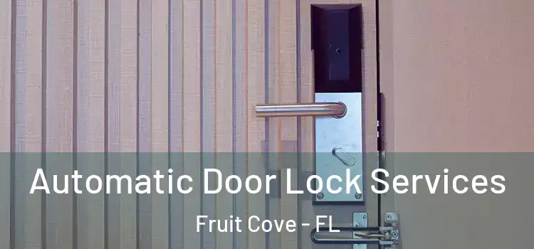 Automatic Door Lock Services Fruit Cove - FL