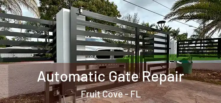  Automatic Gate Repair Fruit Cove - FL