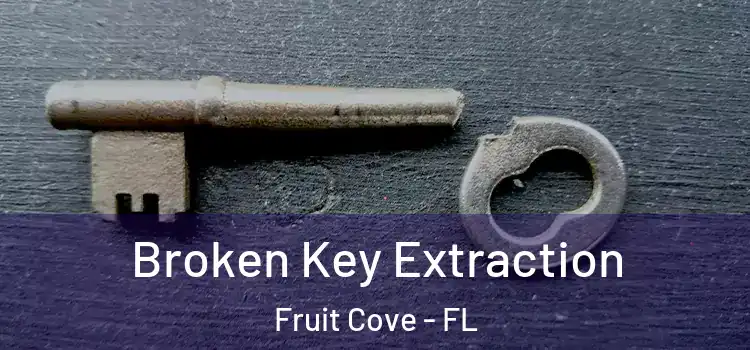 Broken Key Extraction Fruit Cove - FL
