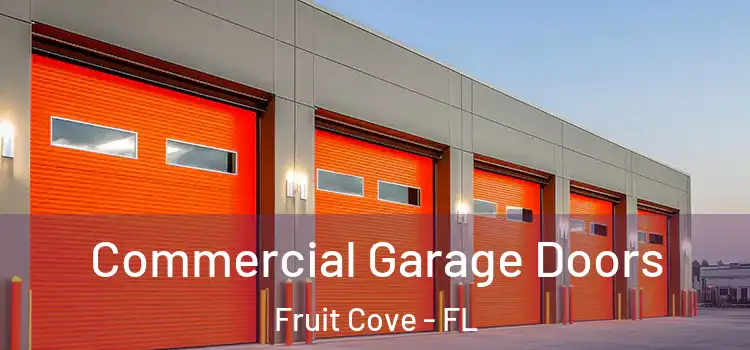  Commercial Garage Doors Fruit Cove - FL