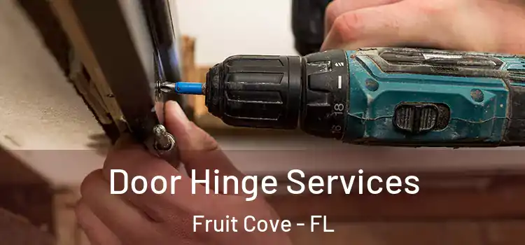 Door Hinge Services Fruit Cove - FL