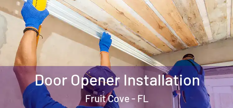  Door Opener Installation Fruit Cove - FL