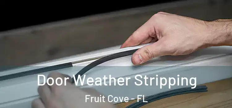  Door Weather Stripping Fruit Cove - FL