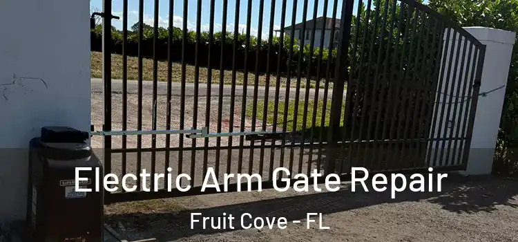  Electric Arm Gate Repair Fruit Cove - FL
