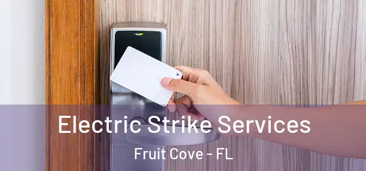  Electric Strike Services Fruit Cove - FL