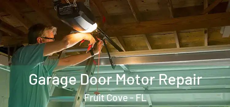  Garage Door Motor Repair Fruit Cove - FL