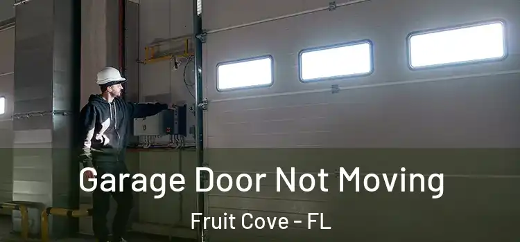  Garage Door Not Moving Fruit Cove - FL