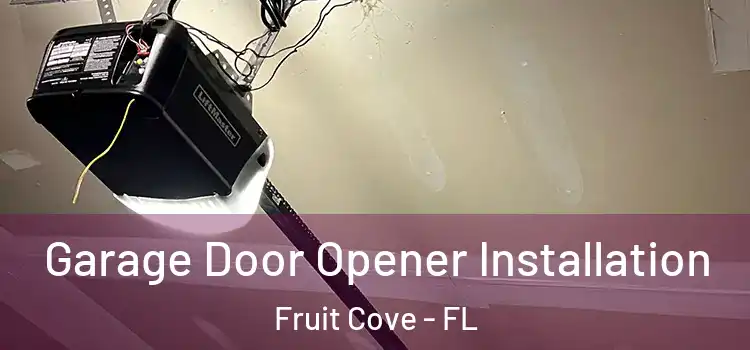  Garage Door Opener Installation Fruit Cove - FL
