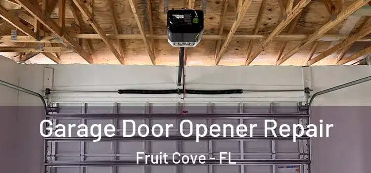  Garage Door Opener Repair Fruit Cove - FL