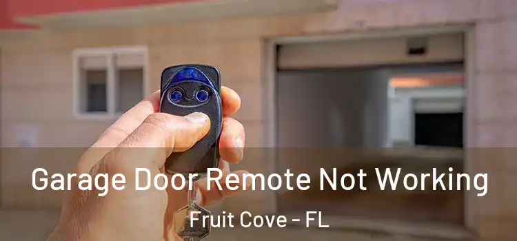  Garage Door Remote Not Working Fruit Cove - FL