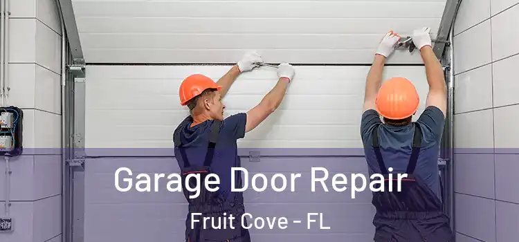  Garage Door Repair Fruit Cove - FL