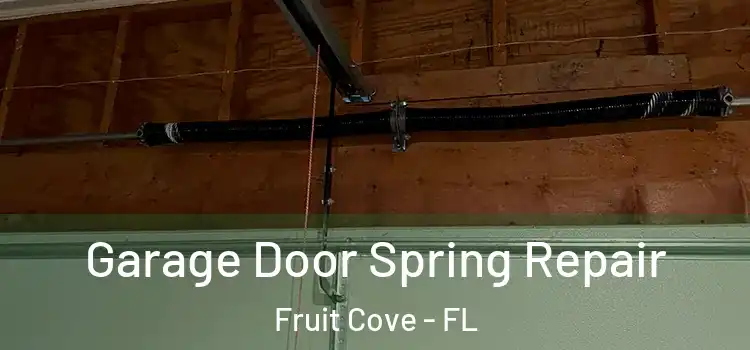  Garage Door Spring Repair Fruit Cove - FL