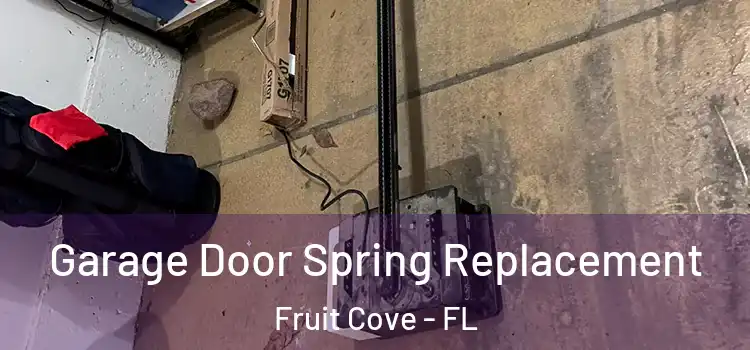  Garage Door Spring Replacement Fruit Cove - FL
