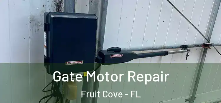  Gate Motor Repair Fruit Cove - FL