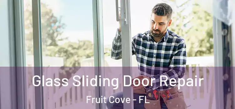  Glass Sliding Door Repair Fruit Cove - FL