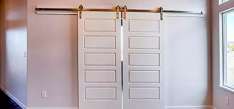 Glass Barn Door with Installation Hardware Kit Fruit Cove