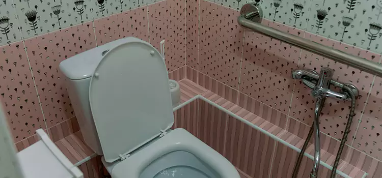 Meeting Diverse Needs With Accessible Restroom Solutions in Fruit Cove, FL