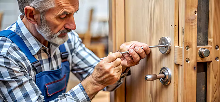 Mortise Replacement Lock Fruit Cove