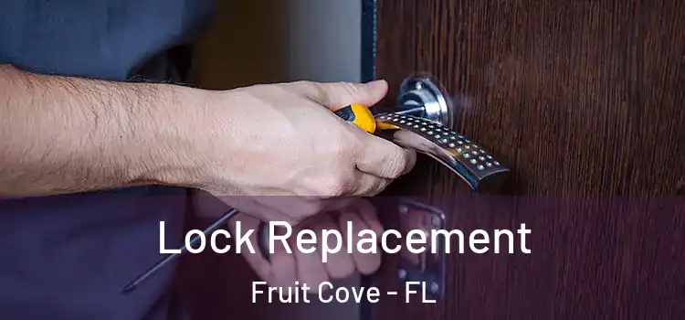 Lock Replacement Fruit Cove - FL