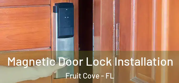  Magnetic Door Lock Installation Fruit Cove - FL