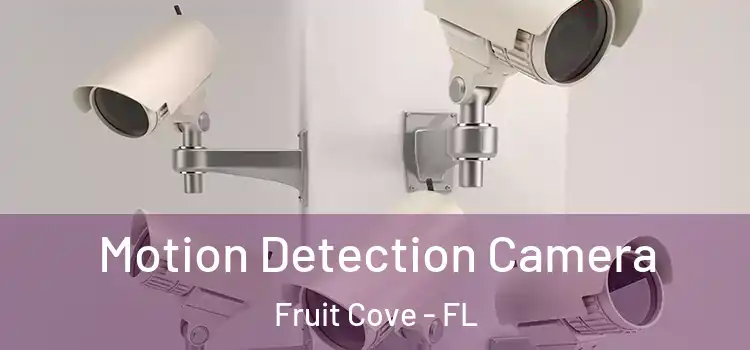  Motion Detection Camera Fruit Cove - FL