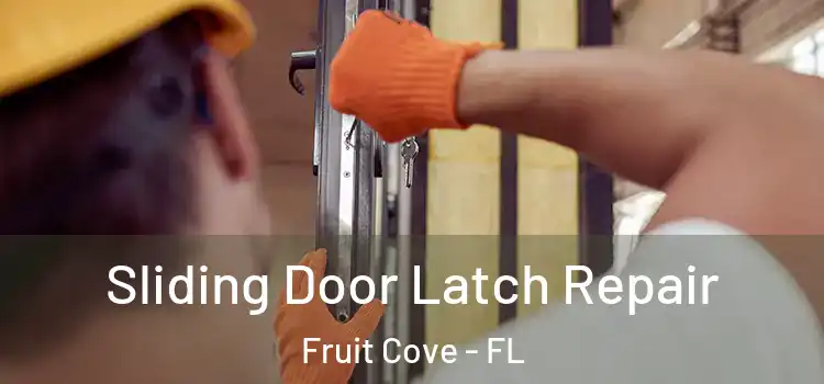  Sliding Door Latch Repair Fruit Cove - FL