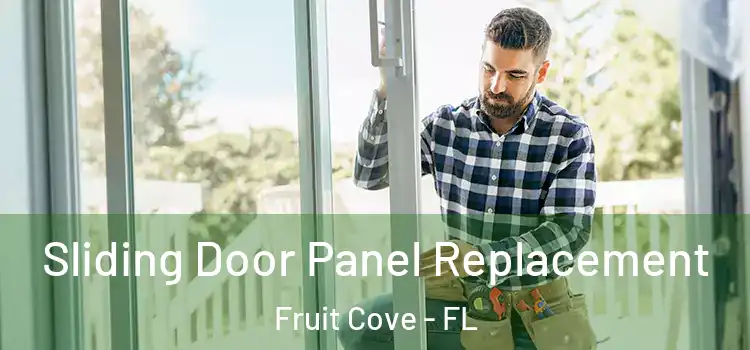  Sliding Door Panel Replacement Fruit Cove - FL