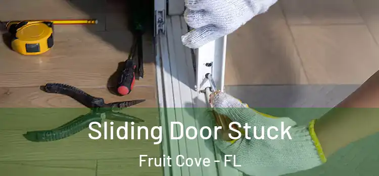 Sliding Door Stuck Fruit Cove - FL