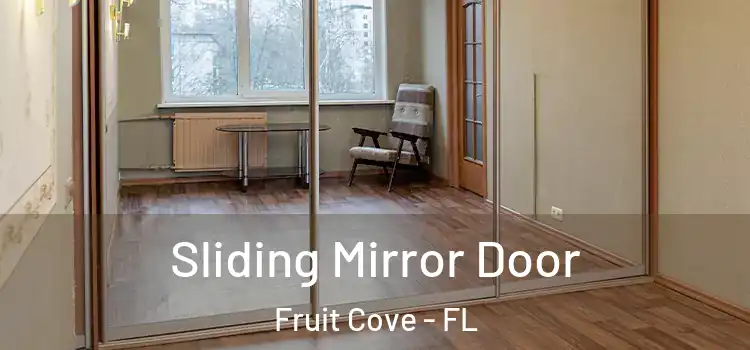 Sliding Mirror Door Fruit Cove - FL